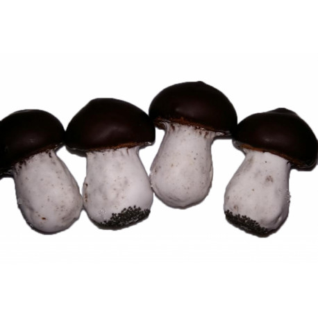 Biscuits MUSHROOMS 0,5kg