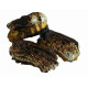 Biscuits with protein cream and kiwi flavor filling partially coated with cocoa glaze AMAZONKI KIVI 1,3 kg