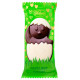 Šokoladinių saldainių rinkinys EASTER PRALINES 1kg