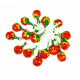 Lollipops TRUSKAWKOWY  8g