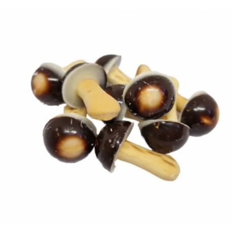 Mushroom-shaped cookies made of cracker and cocoa and milk glaze GRZYBKI 1.4 kg