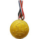 Milk chocolate figure GOLD MEDAL NR.1 20g with ribbon