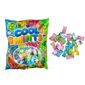 Sugar-free pastilles COOL MINT 500g